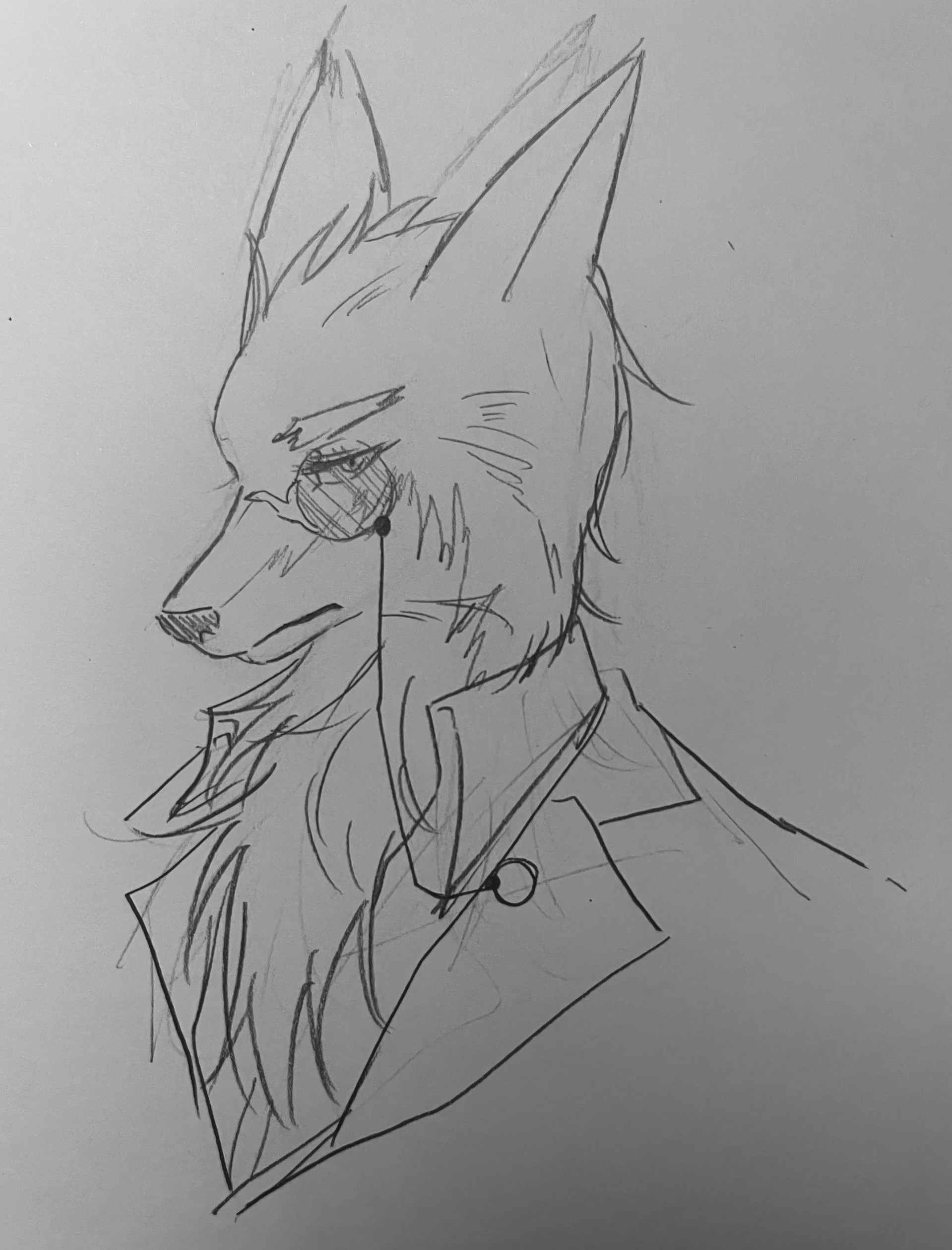 호기심으로 그린 퍼리