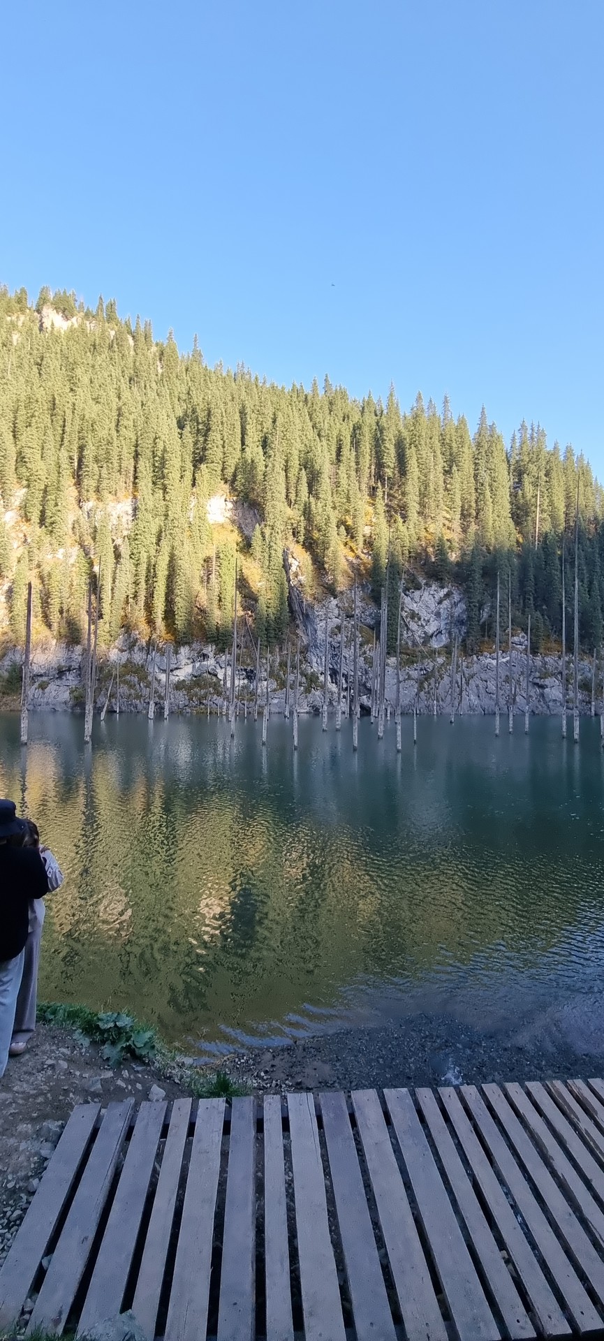 한국에선 볼 수 없는 풍경 : 