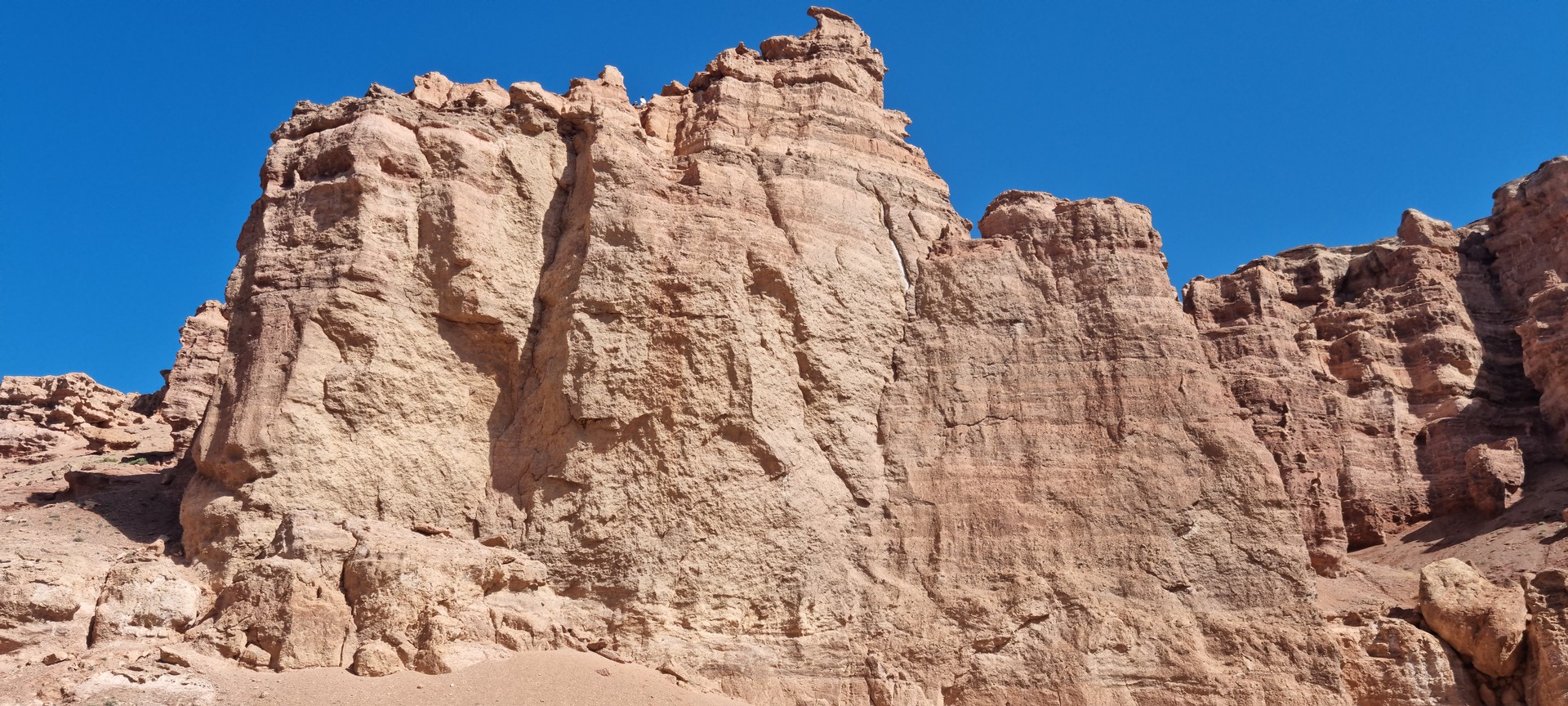 한국에선 볼 수 없는 풍경 : 