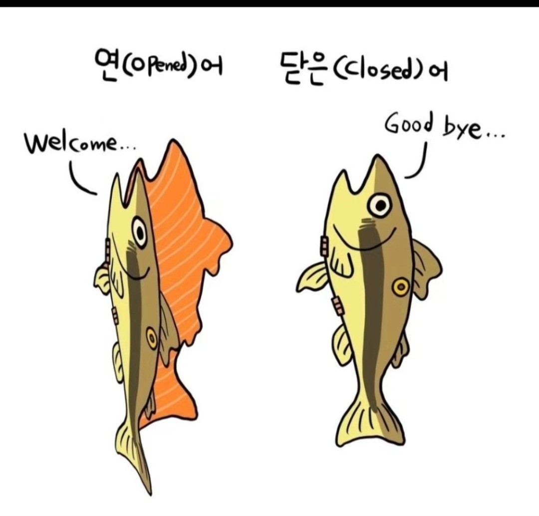 오늘의 궁금증!