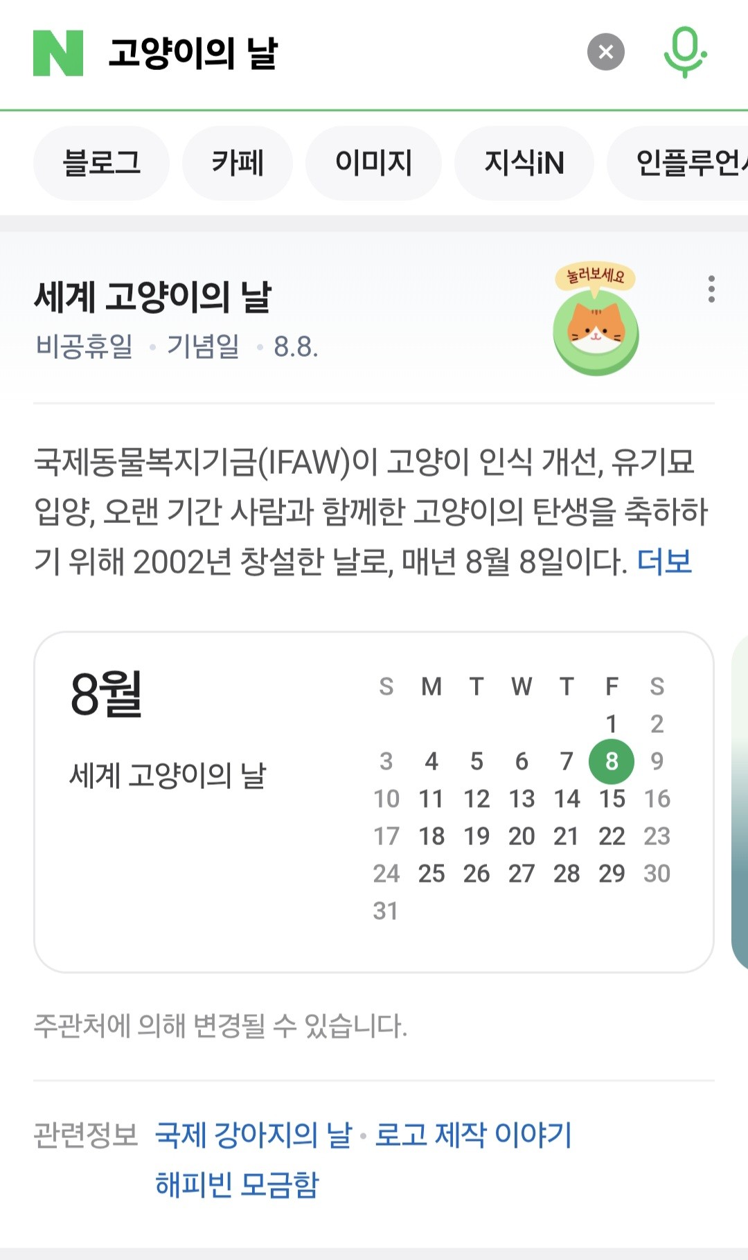 오늘은 세계 고양이의 날🐱