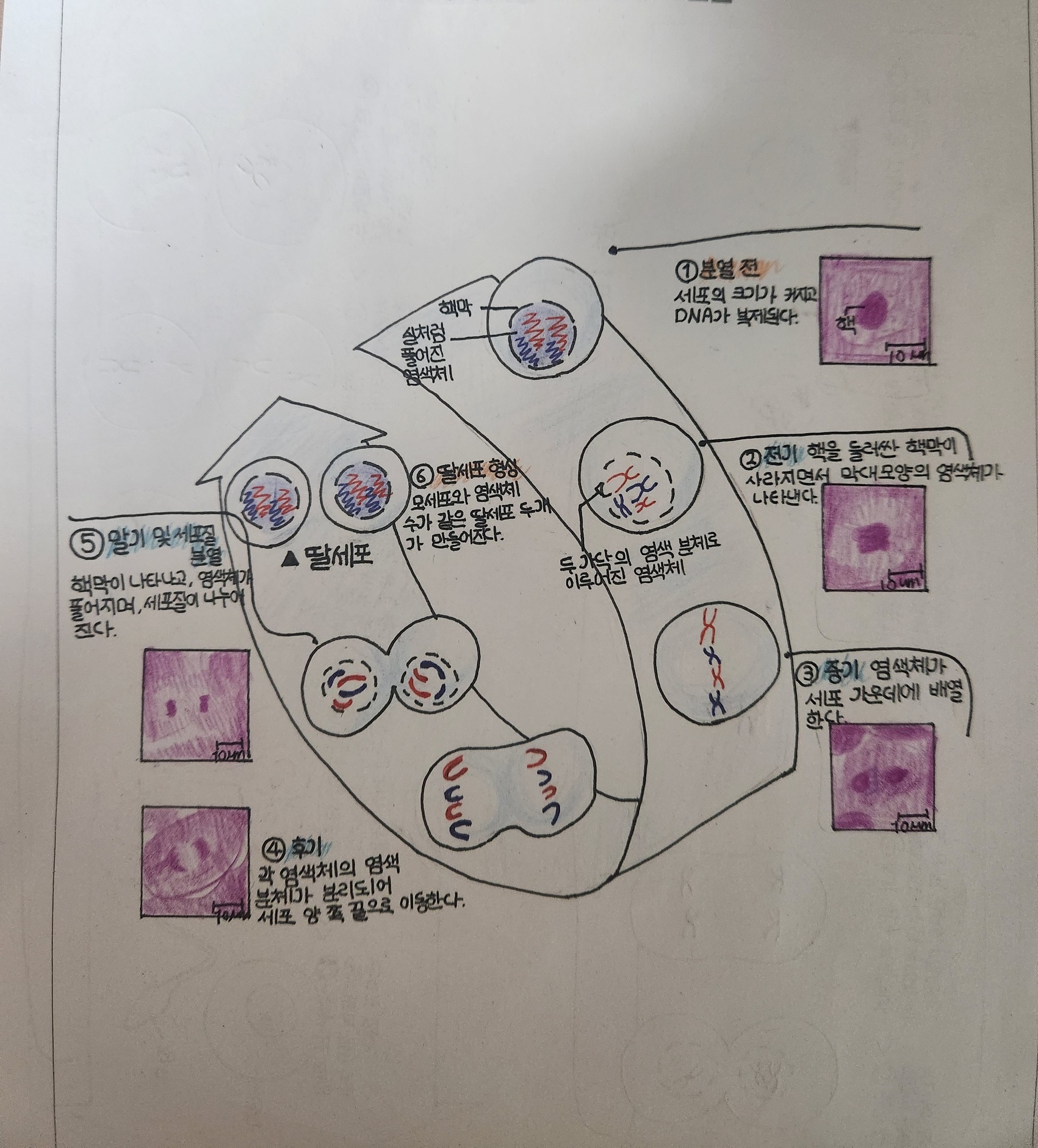 ~우당탕탕 방학숙제 자랑하기~