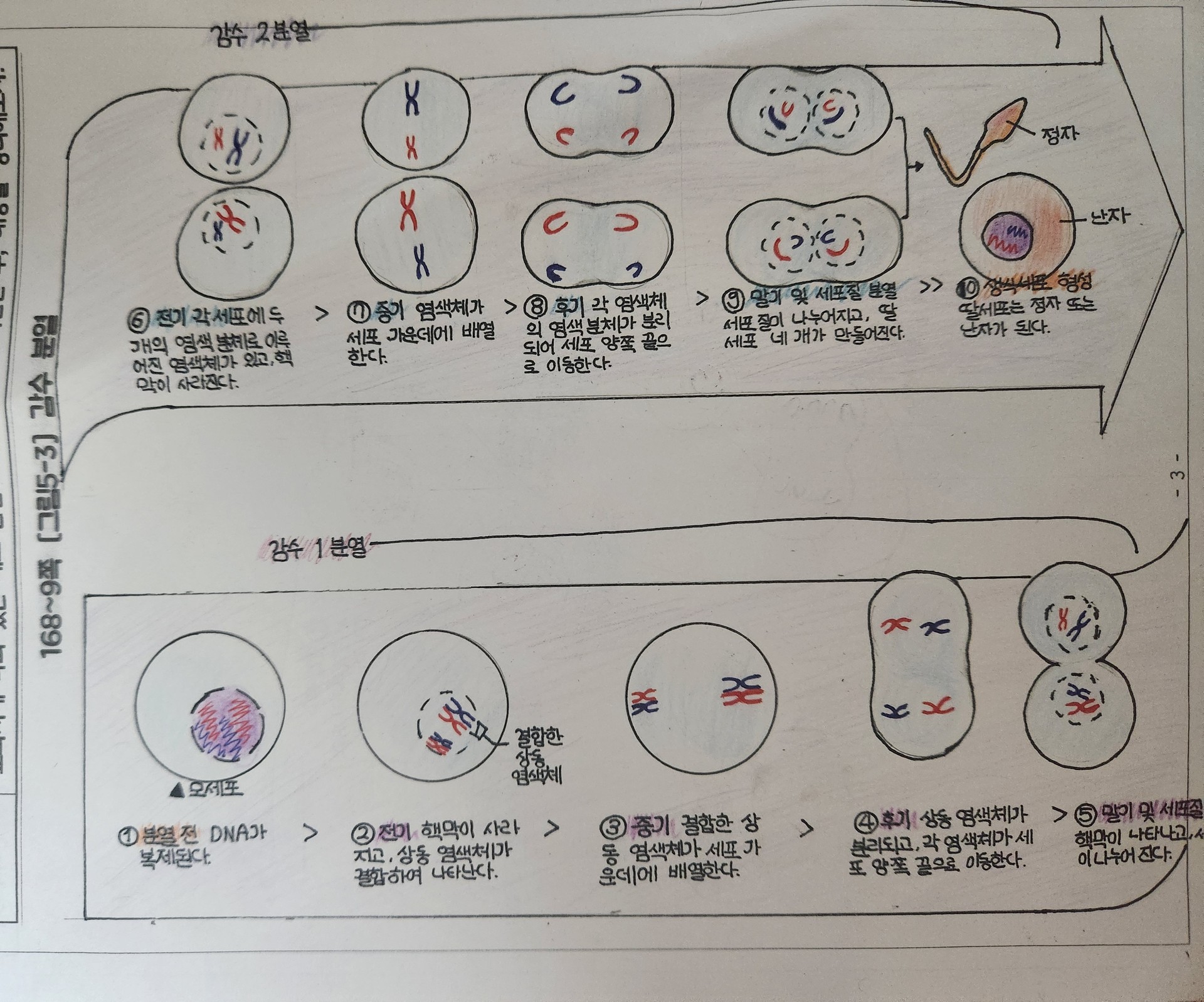 ~우당탕탕 방학숙제 자랑하기~