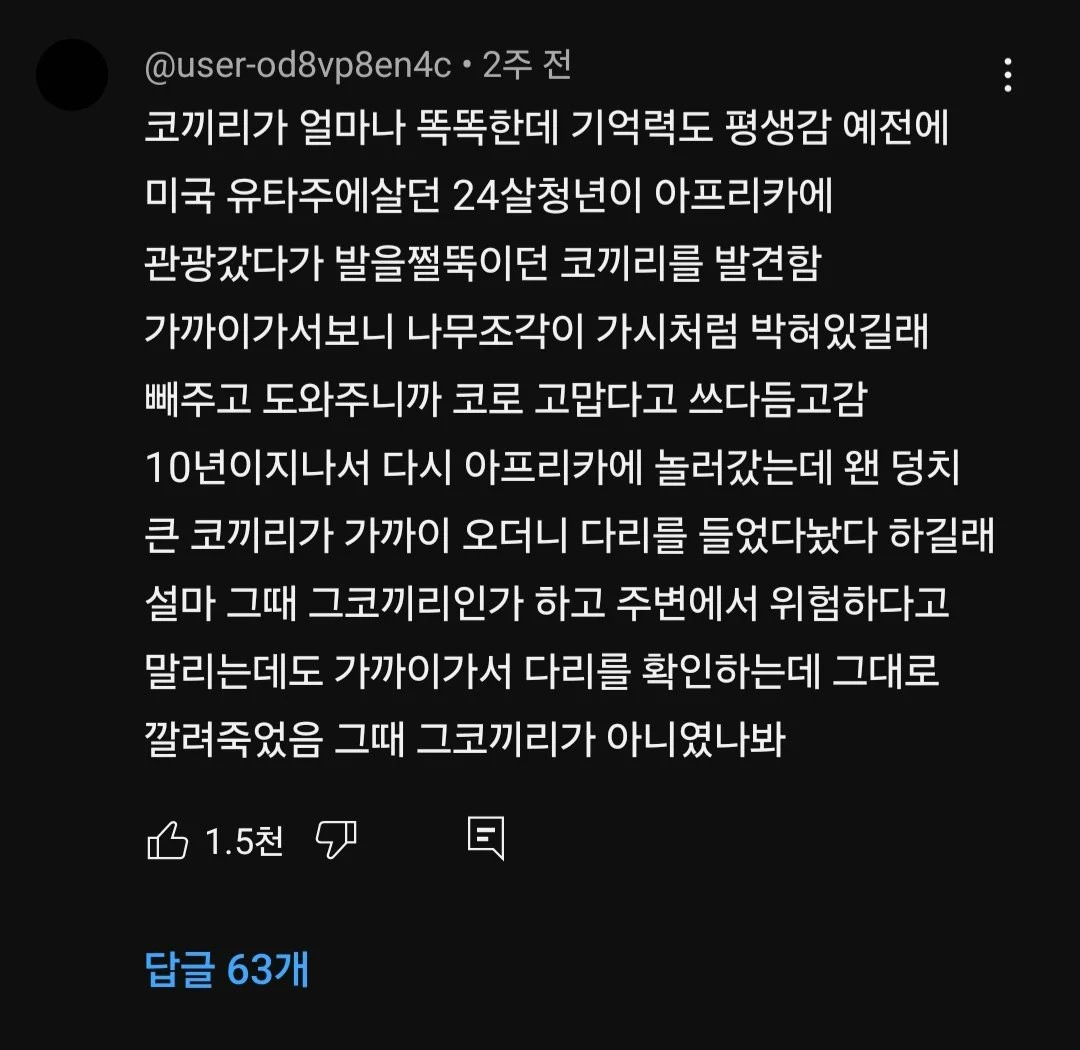 코끼리가 얼마나 똑똑한데