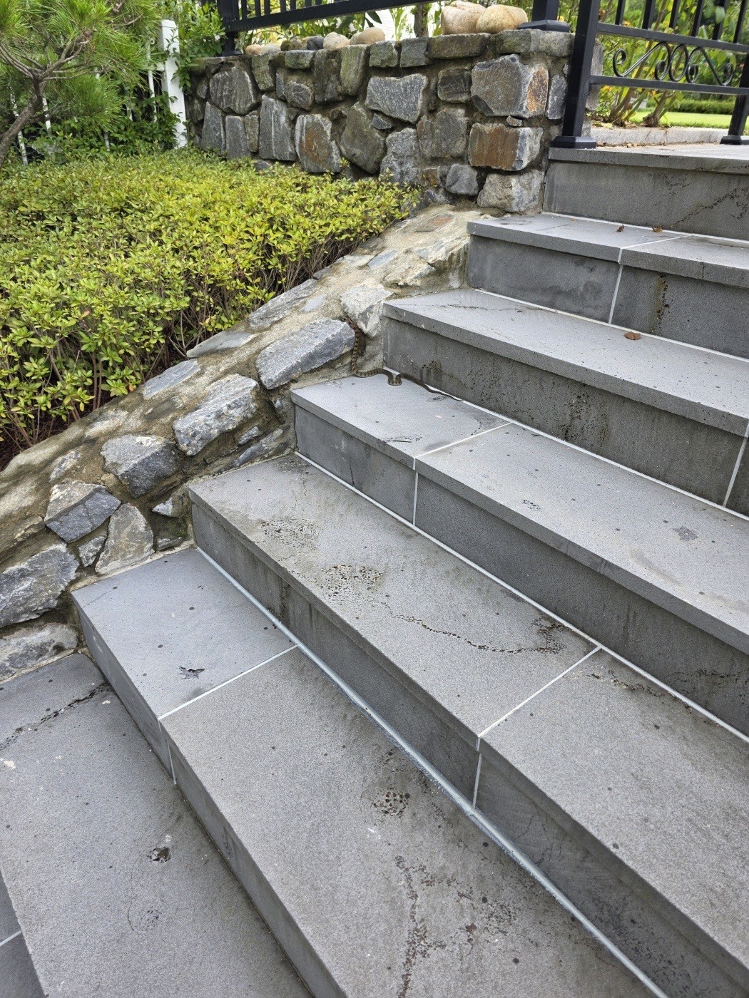 이거 엉ㅁ덛떡ㅎ햐해...? 우ㄹ립집ㅇ에 배매ㅐㅁ뱀 나옹...