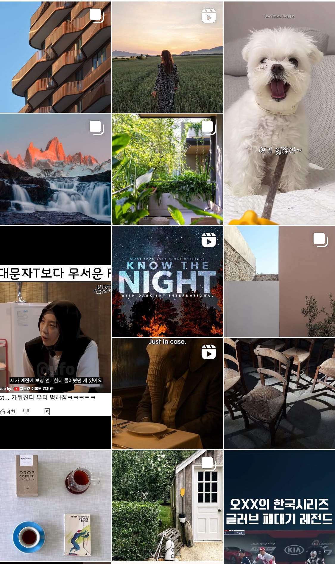 인스타 알고리즘이 이상해 ㅜ