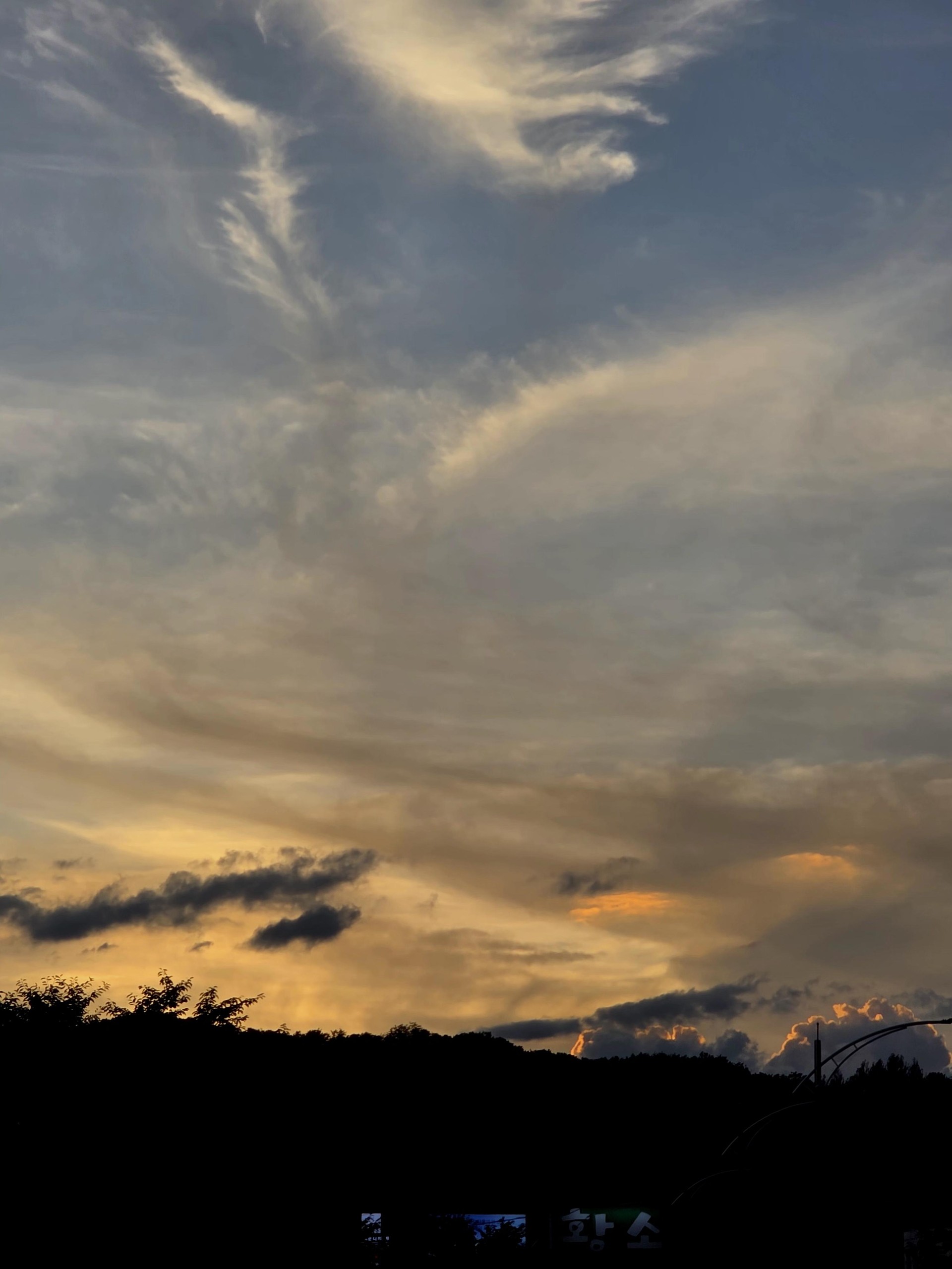 대충 찍은건데 평가 해줘!