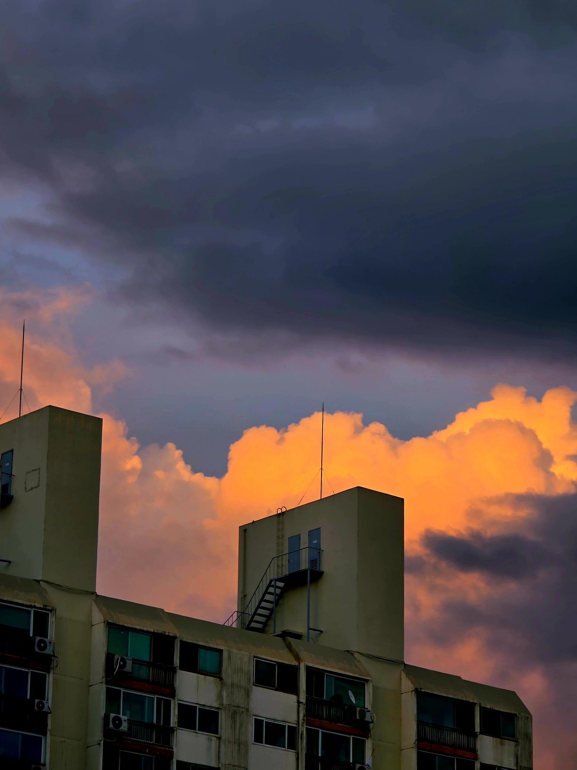 대충 찍은건데 평가 해줘!