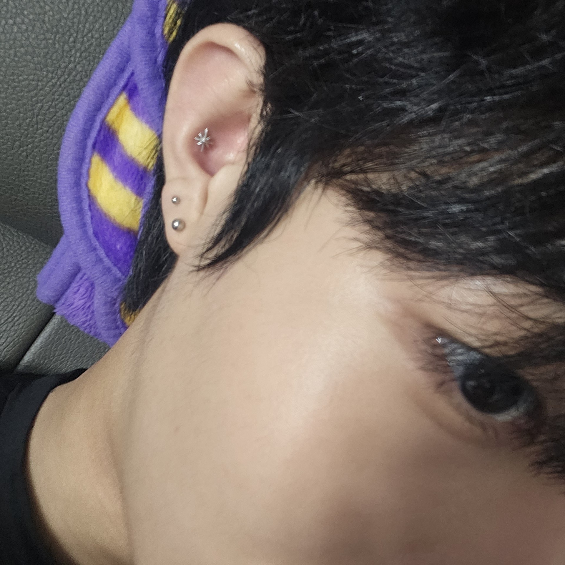 귀테리어 어떱니꺼