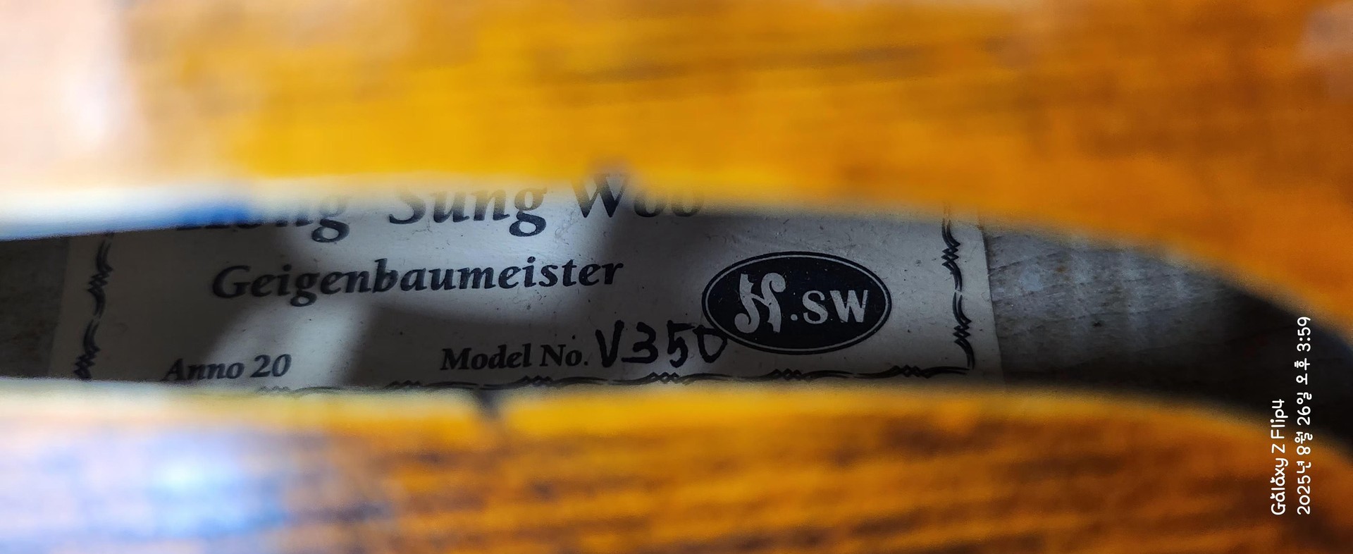 악기 비싼 건가?