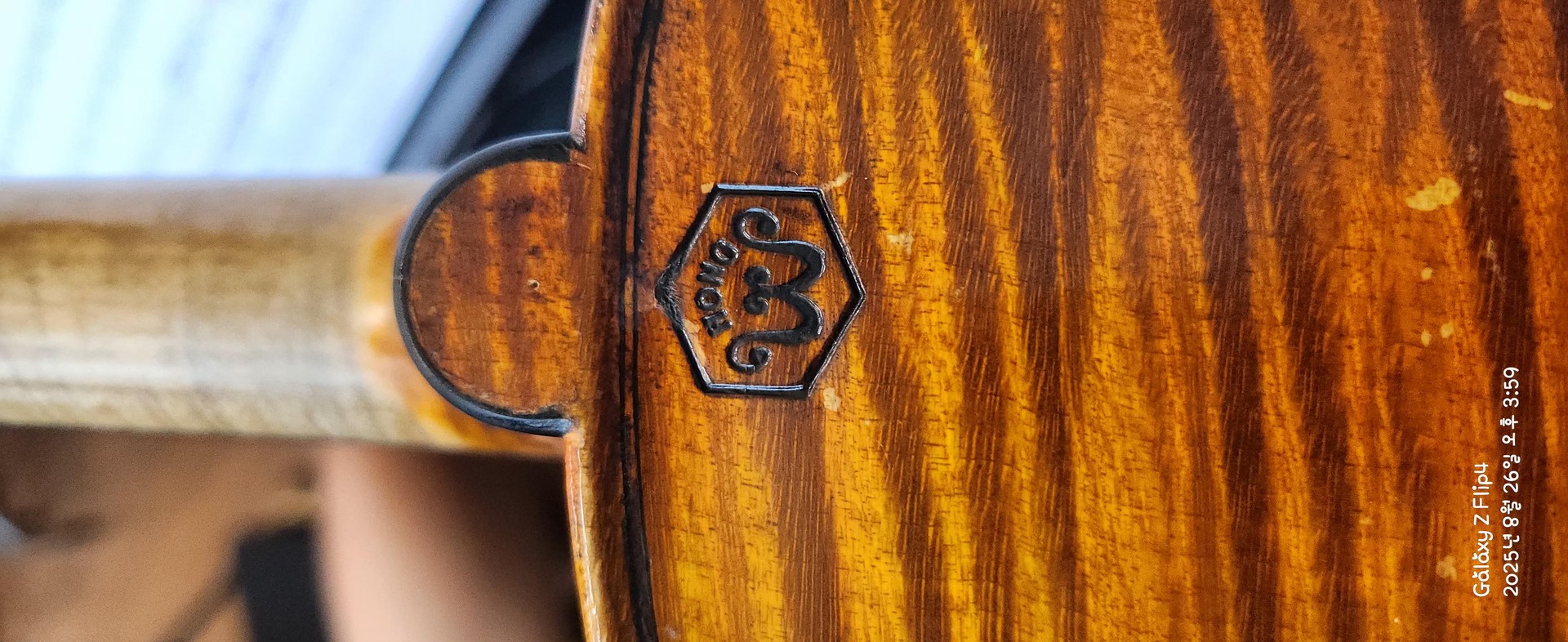 악기 비싼 건가?