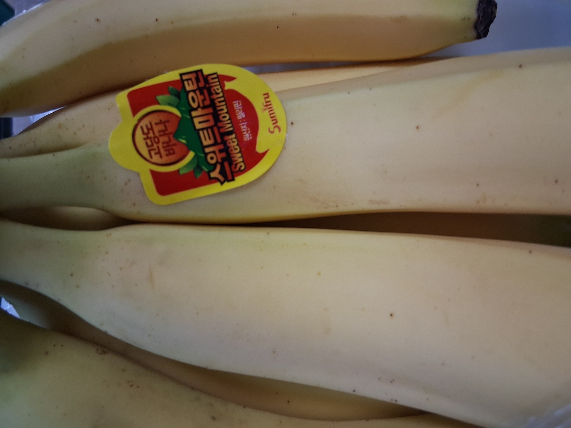 자이언트 마운틴의 숨겨진 형