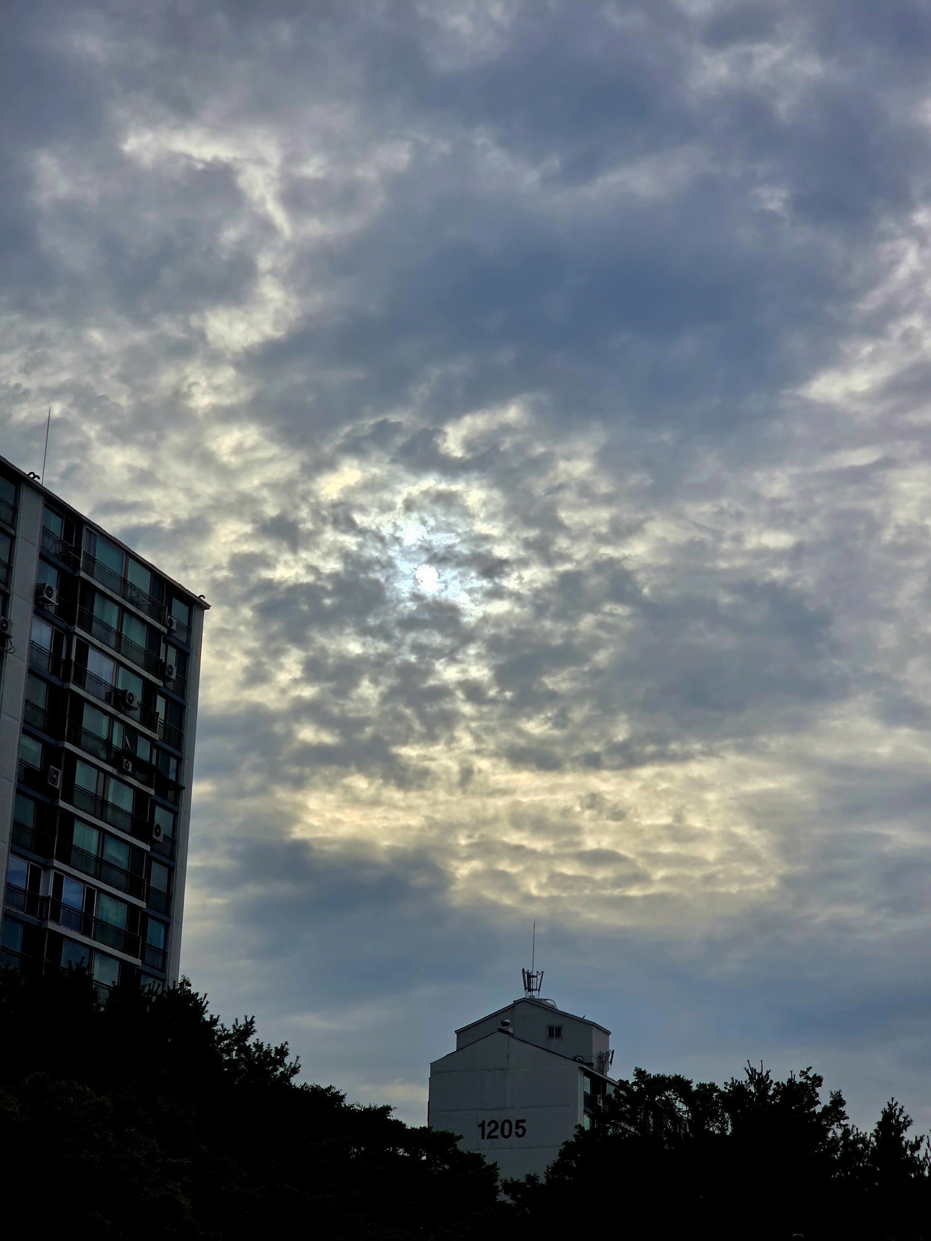 오늘 대충 찍은건데 평가 해줘😉