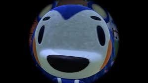 카톡 프필 사진 추천