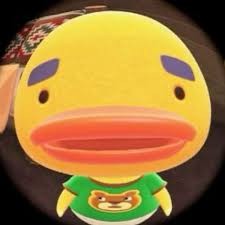 카톡 프필 사진 추천