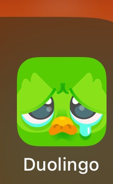 아니 듀오 저도 우는대요?