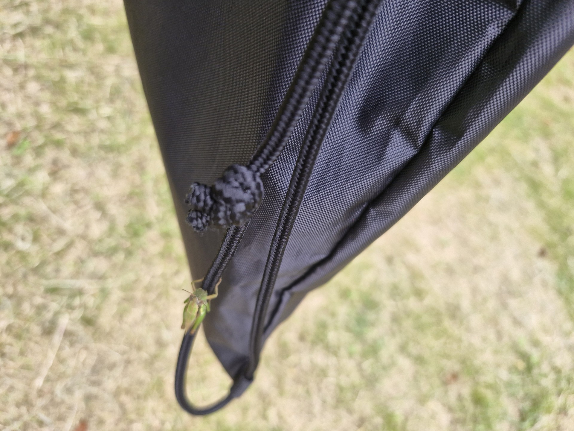 곤충,벌레 공포증 있는뎅..