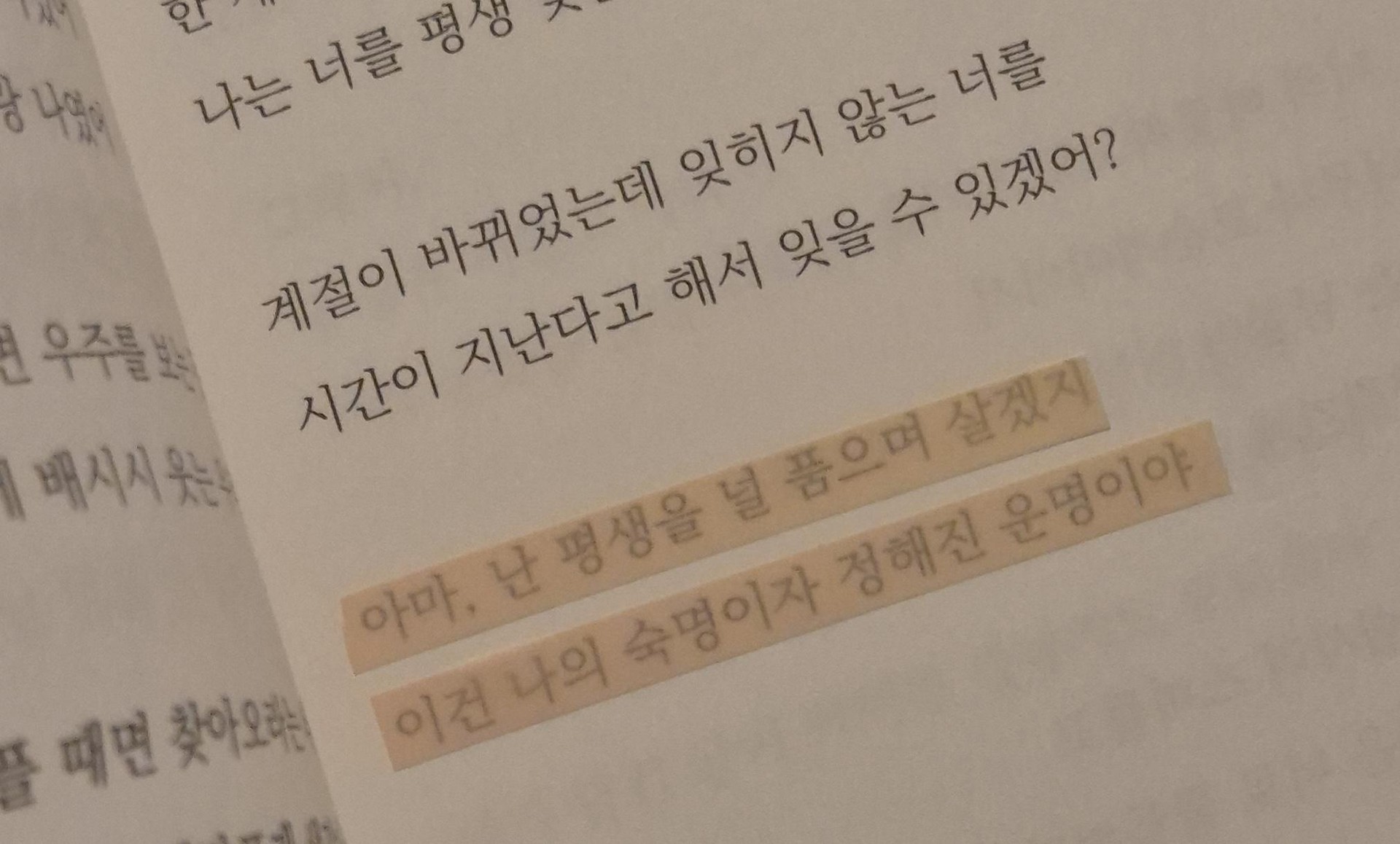인스타 감성 글귀 같은 책?