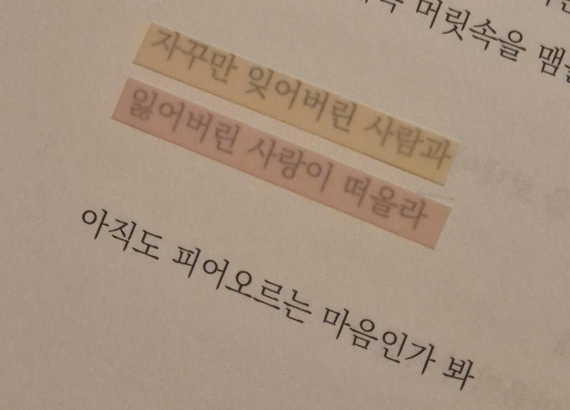 인스타 감성 글귀 같은 책?