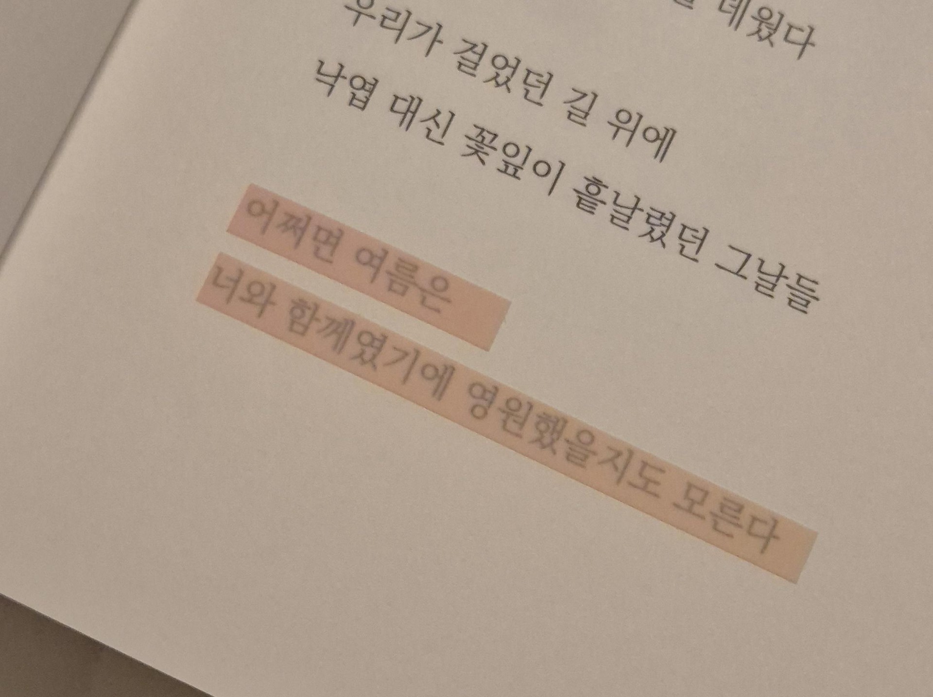 인스타 감성 글귀 같은 책?