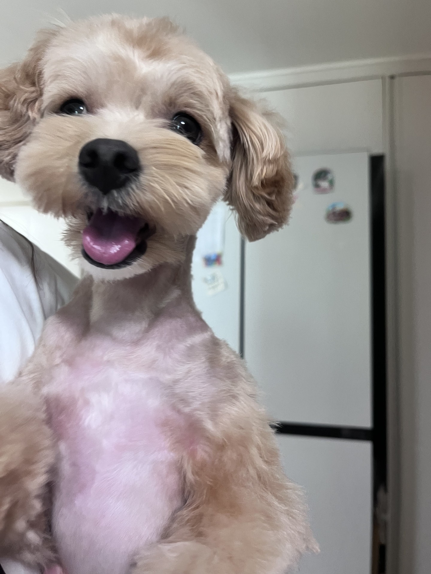 이정도면 잘 한건가여 9만 5천원입메다