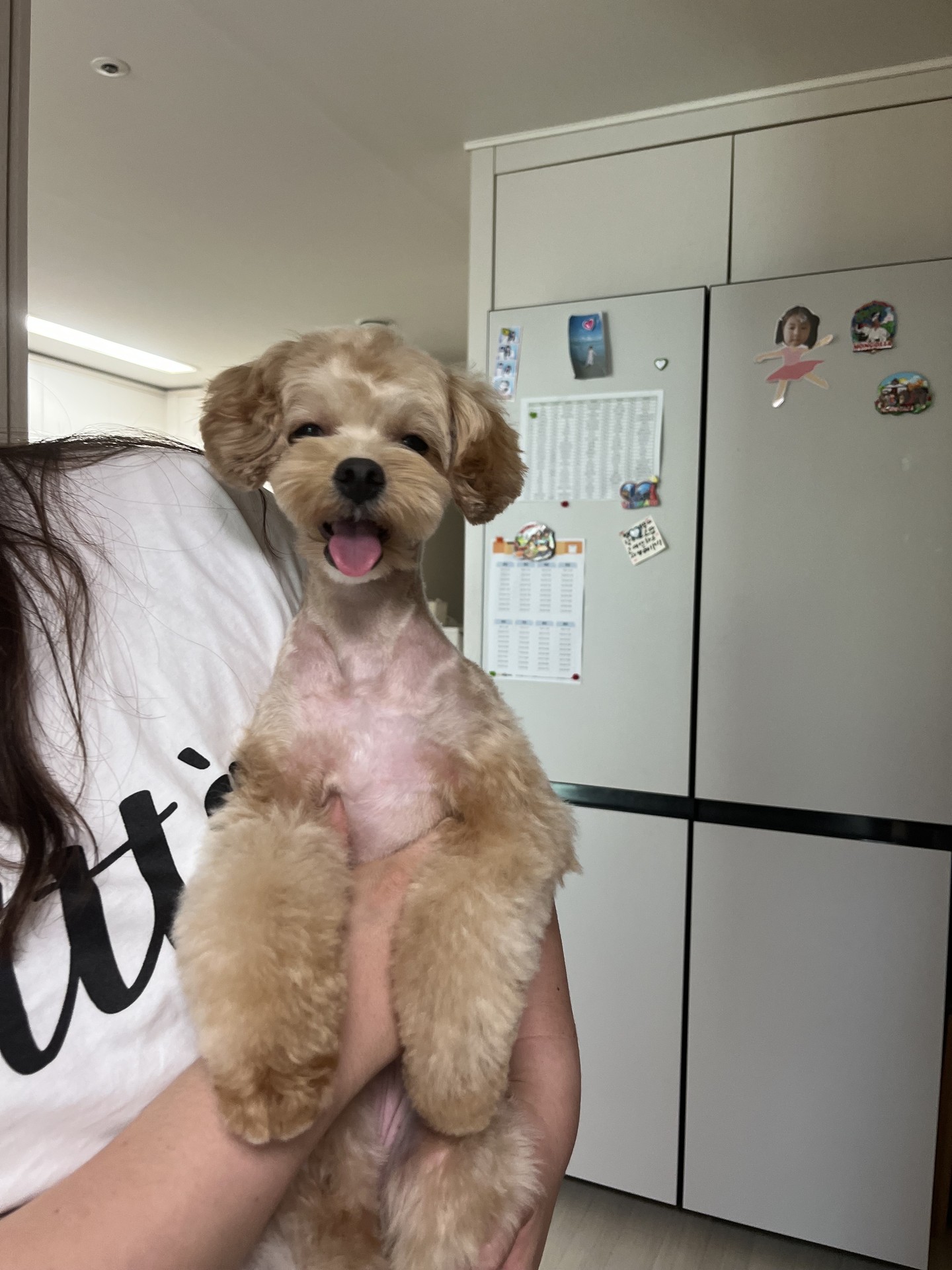 이정도면 잘 한건가여 9만 5천원입메다