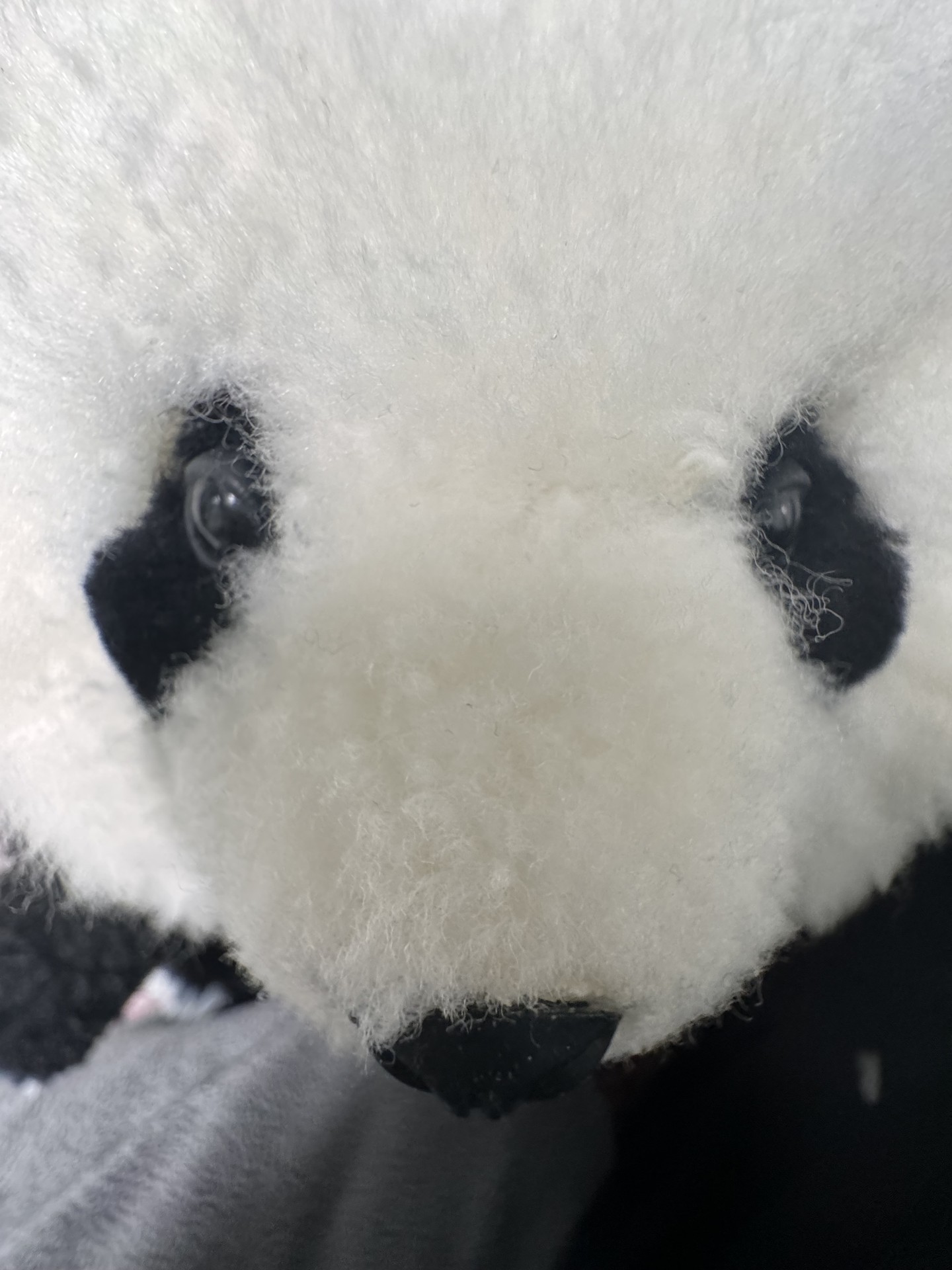 짜장면 먹으러 갈사람 구한다