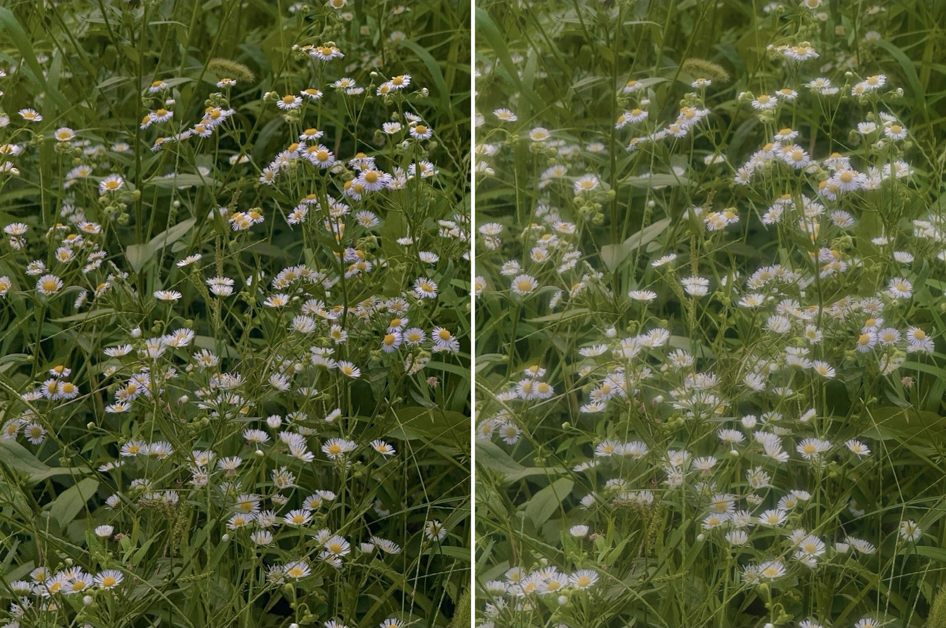 핀터레스트 미학 느낌으로 보정해드려요