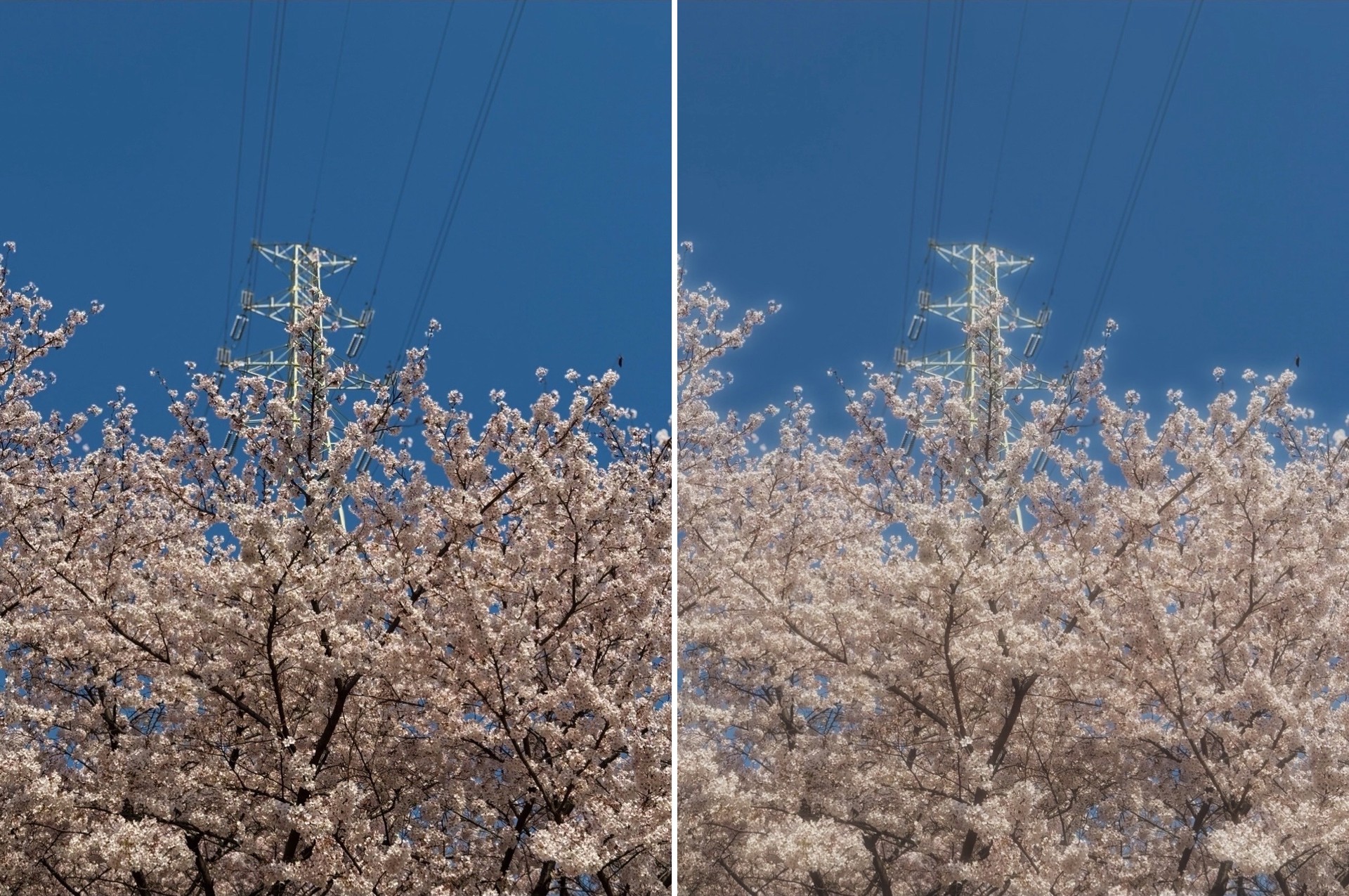핀터레스트 미학 느낌으로 보정해드려요