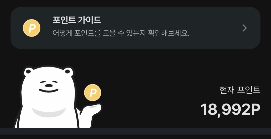 포인트 2만되기전인데