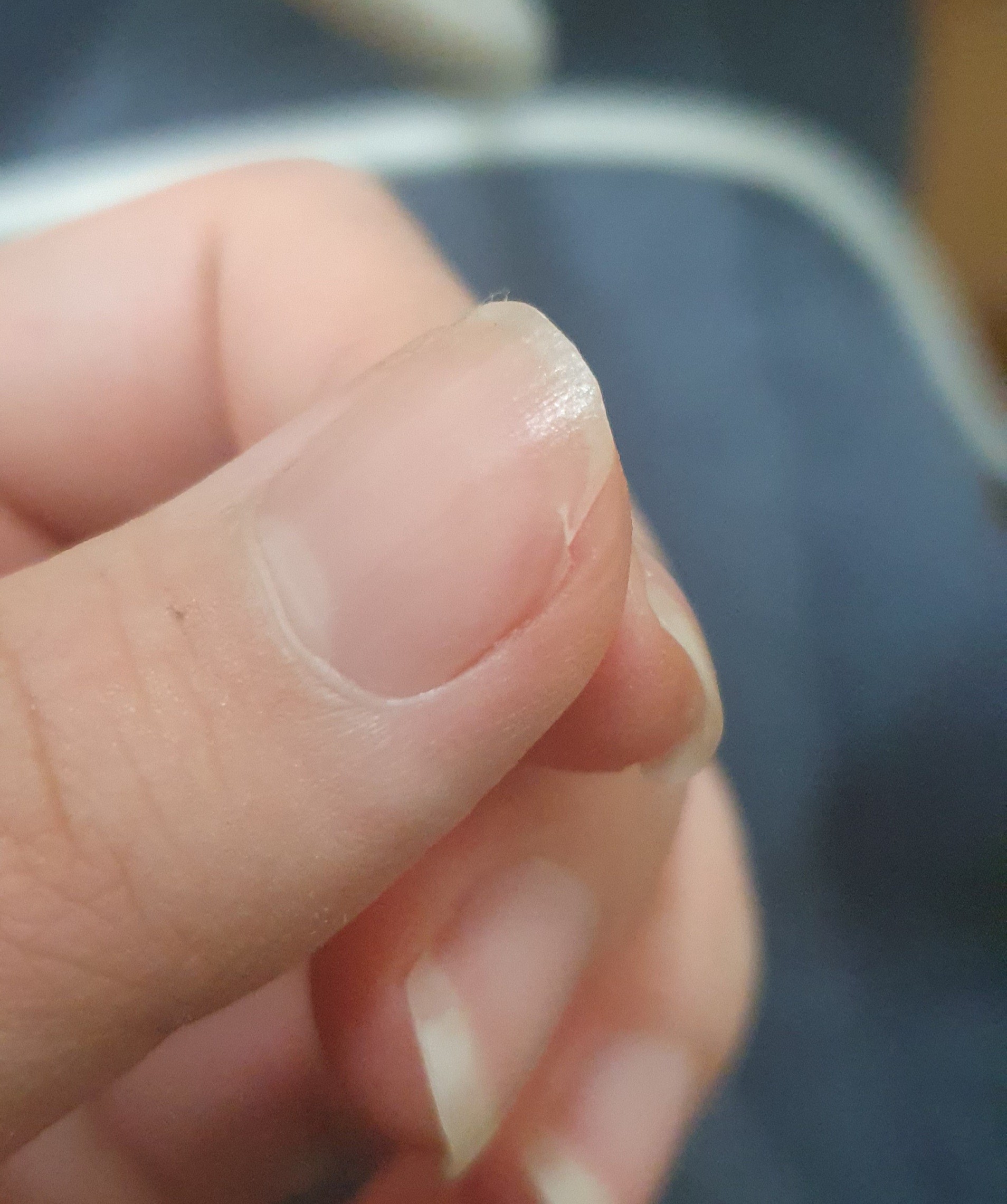 애들아 헬프 좀