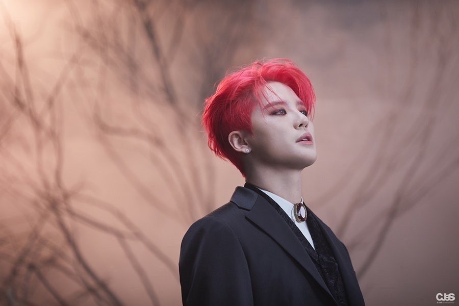 샤갈! 드큘온다드큘 개좋아