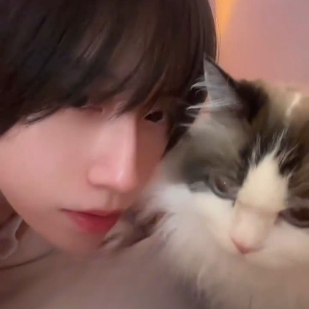 보플 본 사람들중