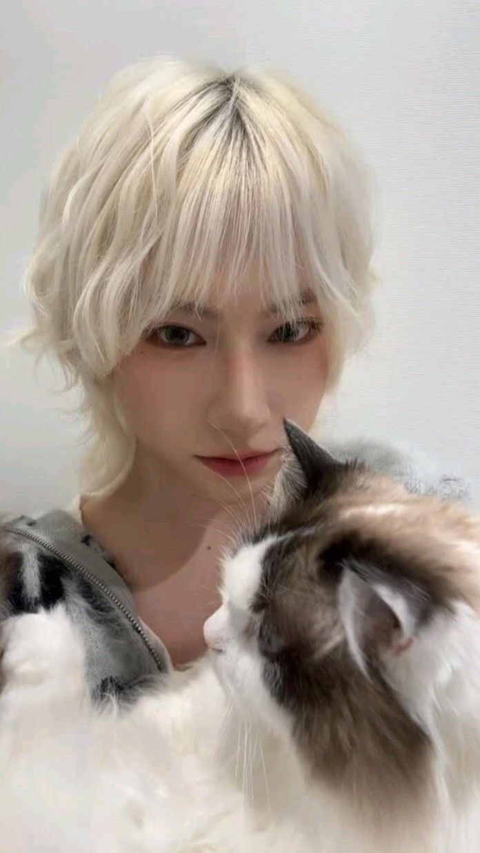 보플 본 사람들중