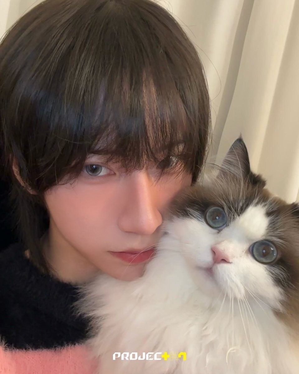 보플 본 사람들중