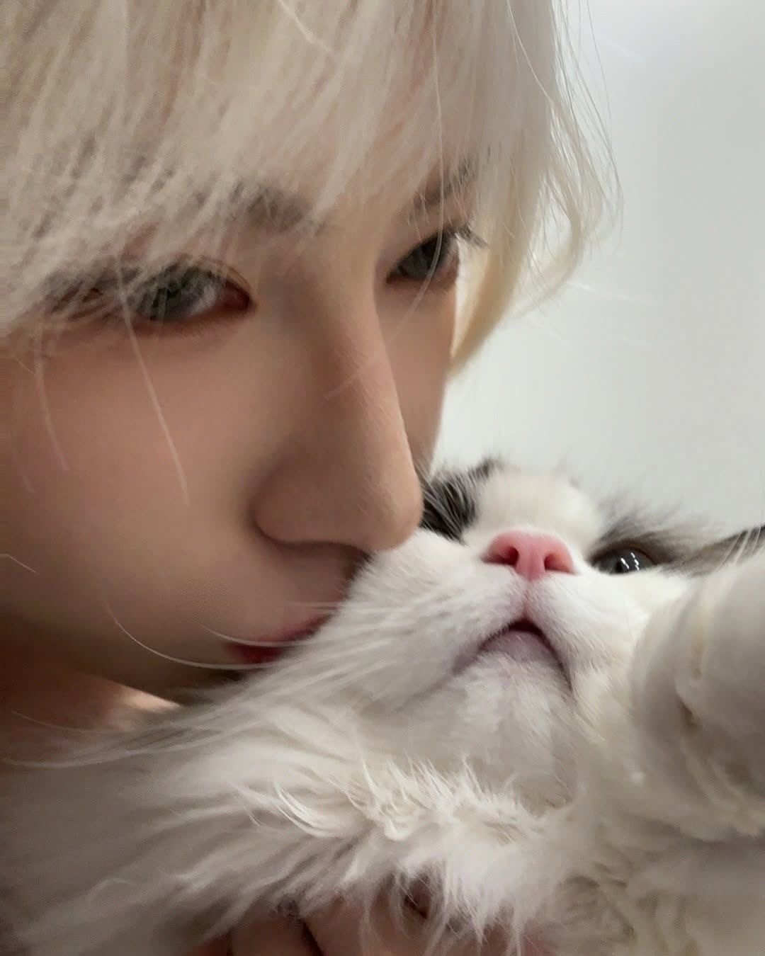 보플 본 사람들중