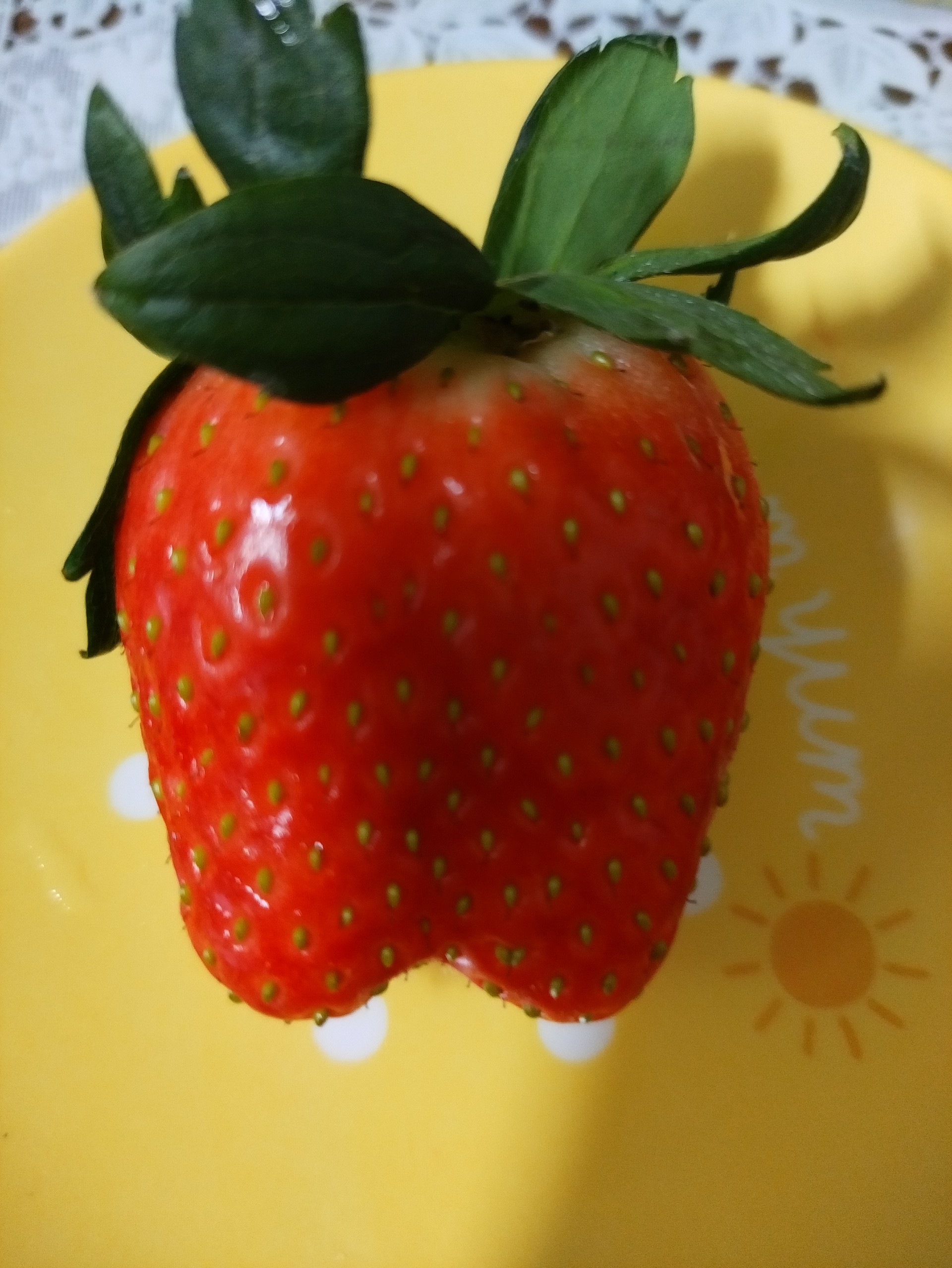 딸기 무슨모양 같아요