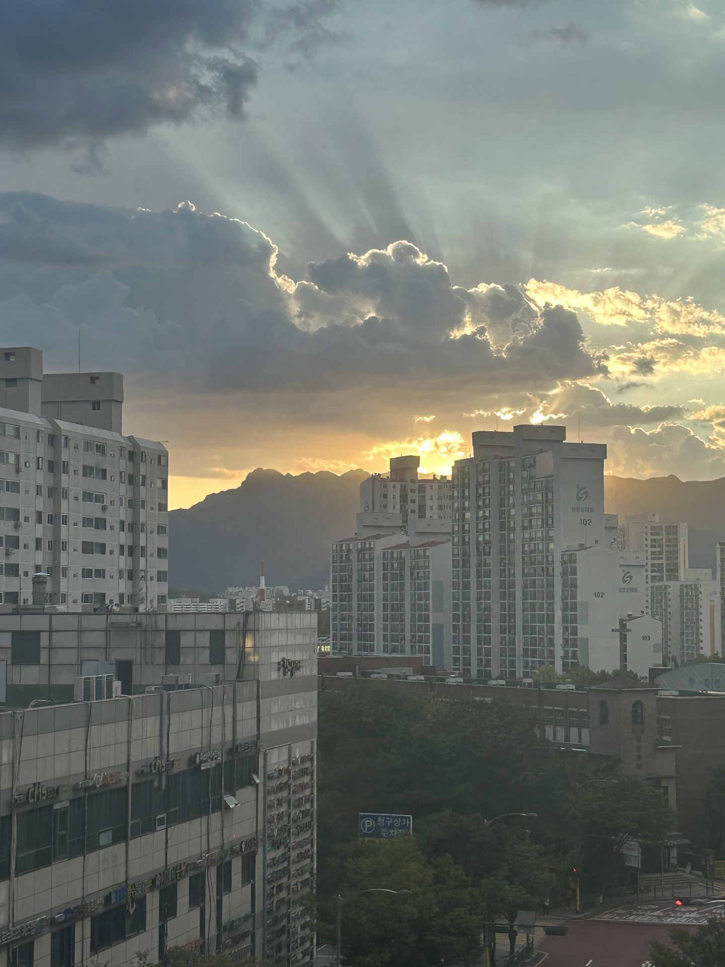 미국 - 오늘학교 커뮤니티