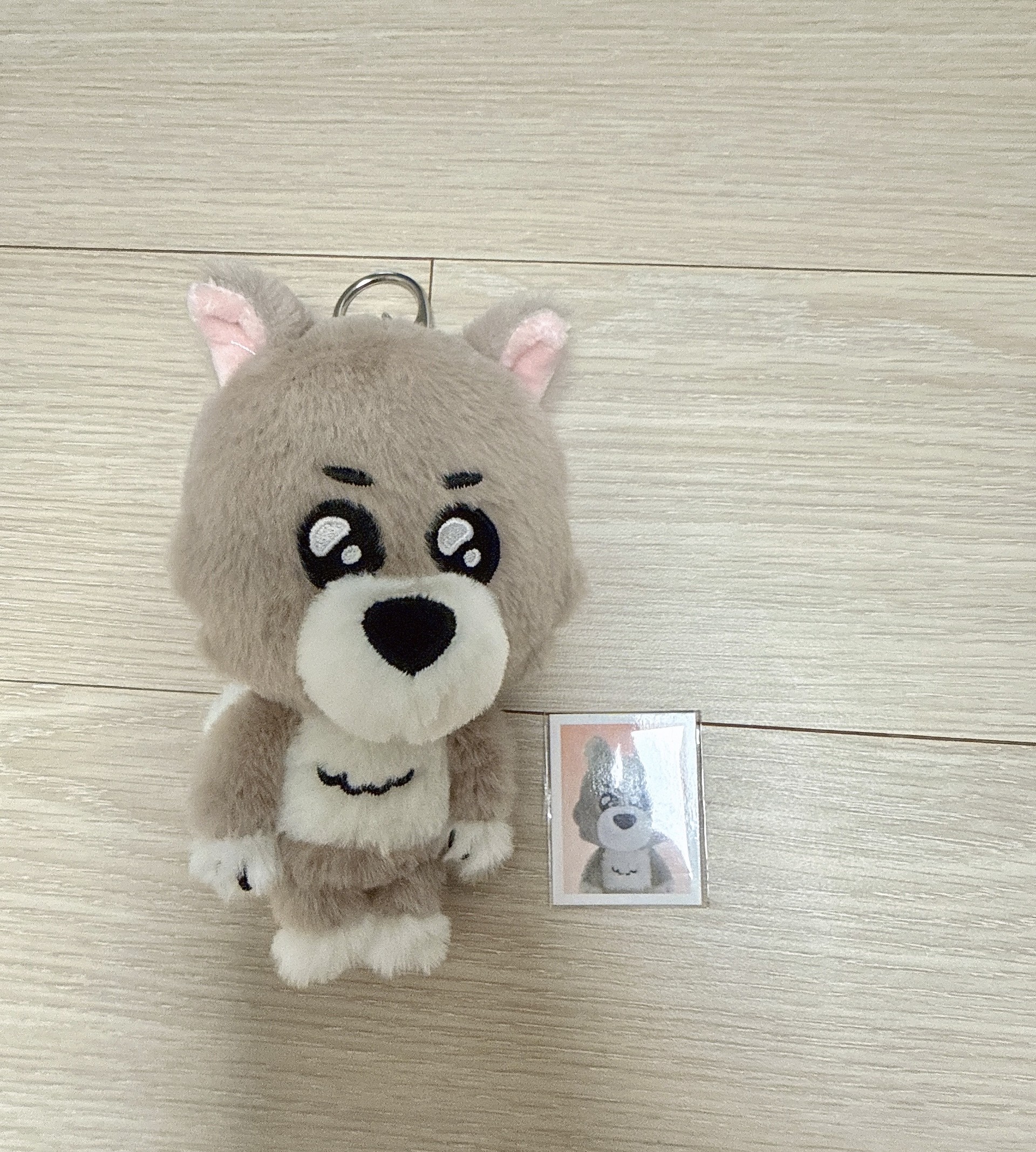 저 명명이 데려왔어요!!