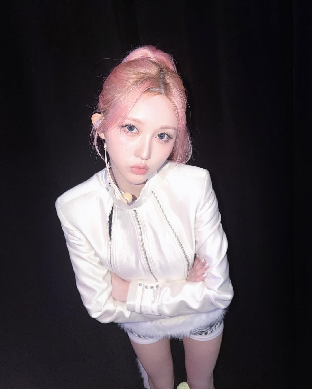 다이브들 컴온
