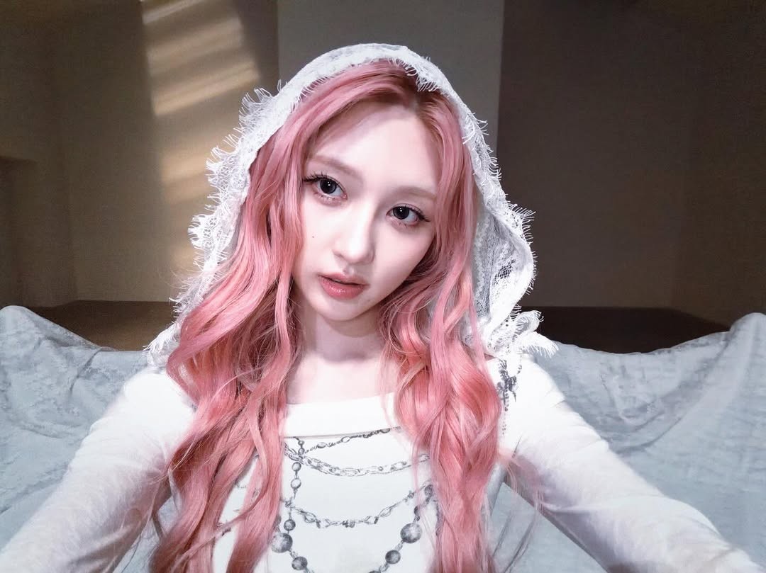 다이브들 컴온