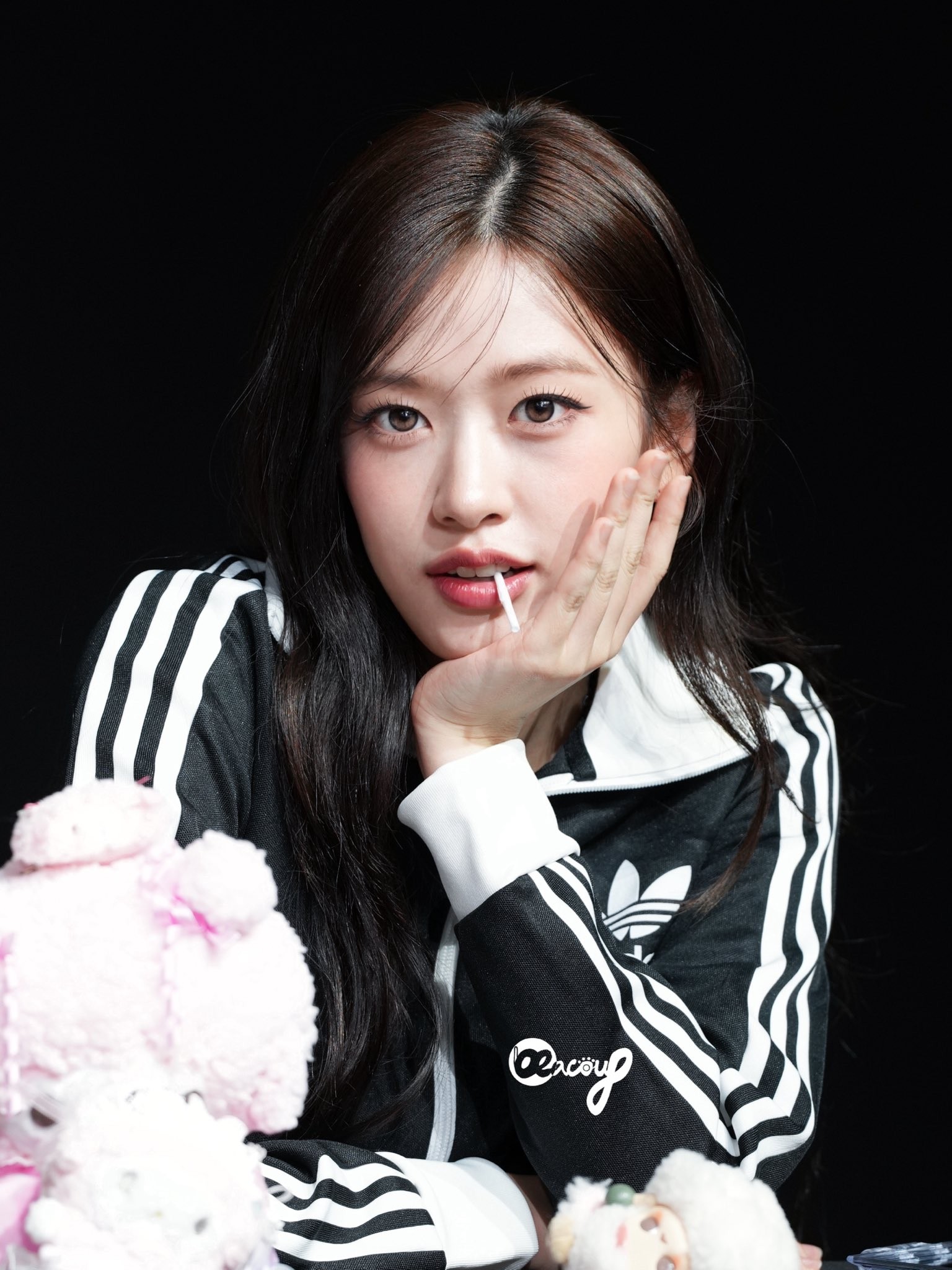 다이브들 컴온