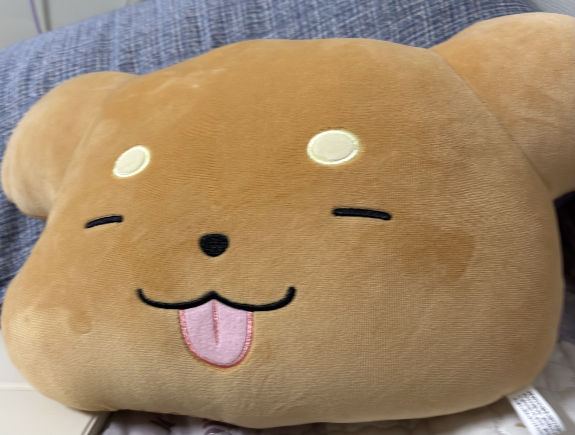 픽셀리 굿즈 자랑