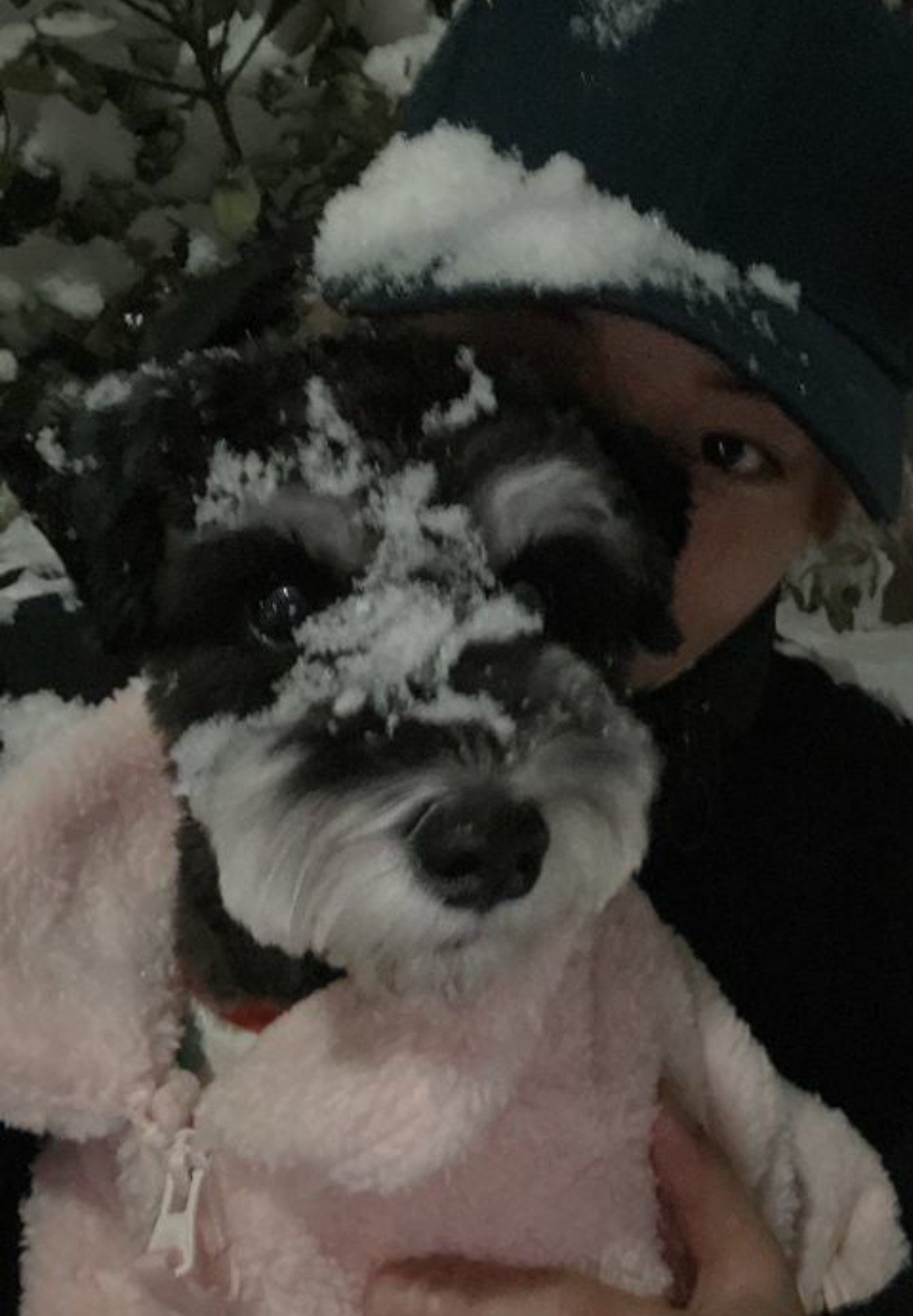 박지훈 남친짤 모음_zip 5