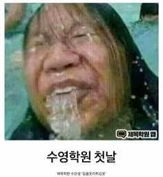 웃긴 짤(1)