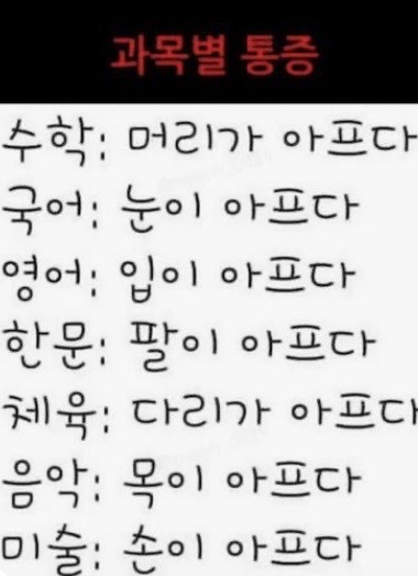 웃긴 짤(1)