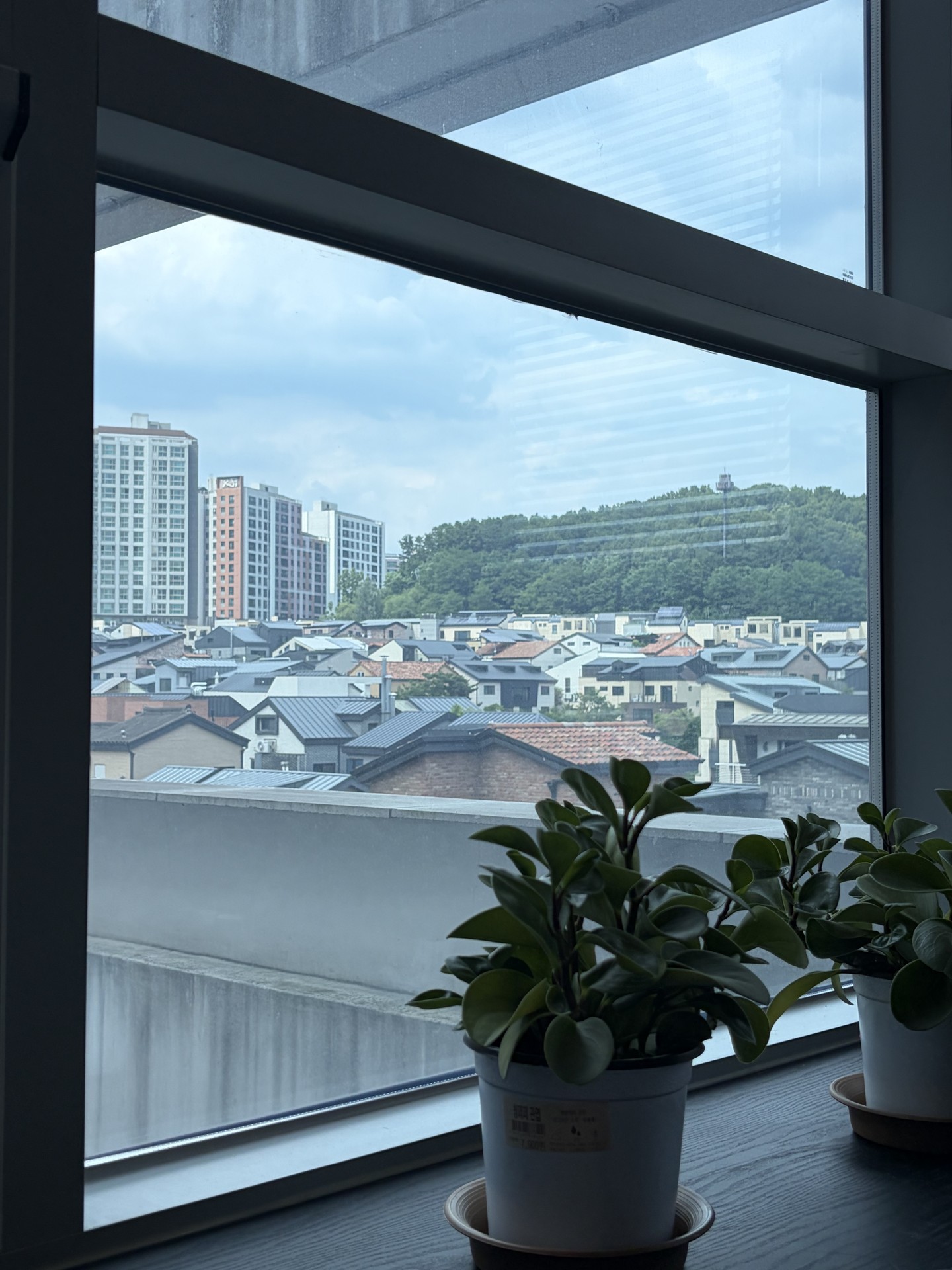 책처럼 보정해드려요