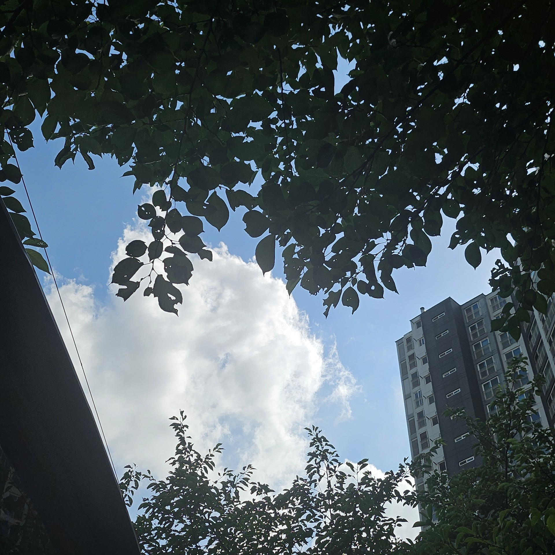 여름 하늘,구름☁️