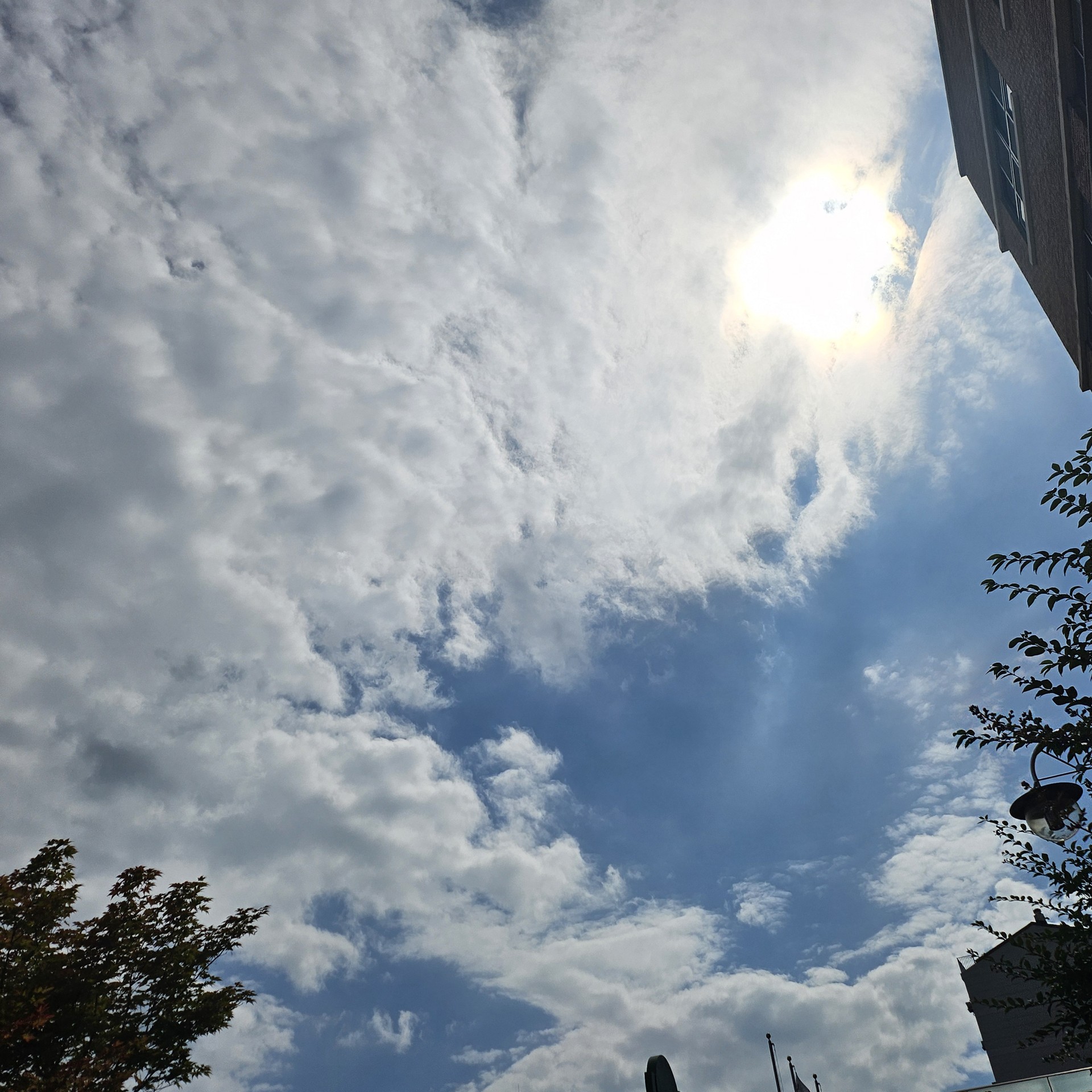 여름 하늘,구름☁️