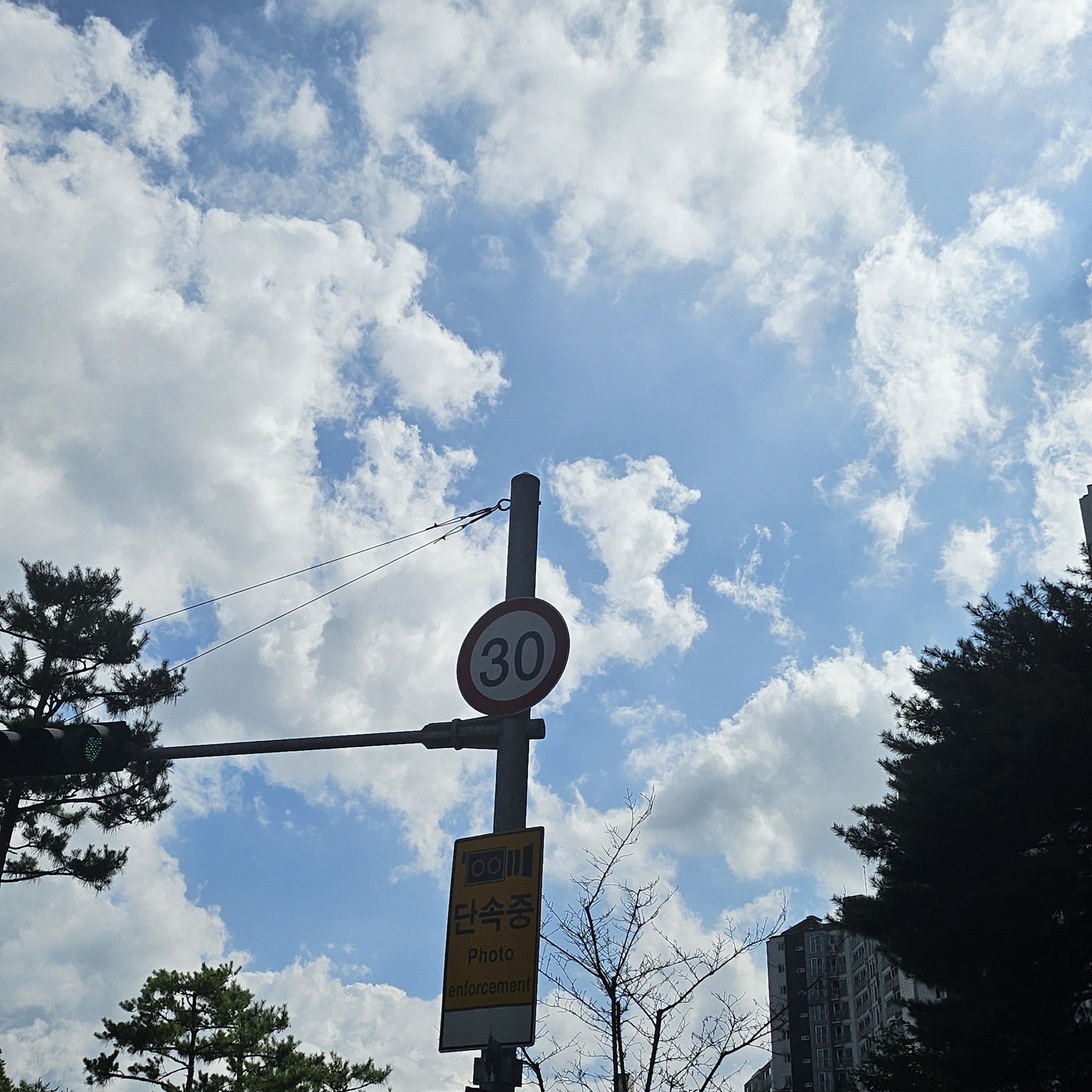 여름 하늘,구름☁️